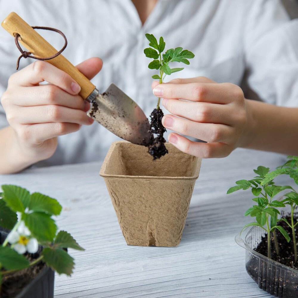 Hahood Szögletes Tőzegcserép Szett, Növényindító Palántaneveléshez 60db 5,8 cm - BShopyX001GU8QQB_4