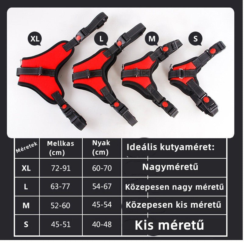 DEKO Fekete Kutyahám - S Méretű, Állítható és Tartós - BShopyDKPT002_1