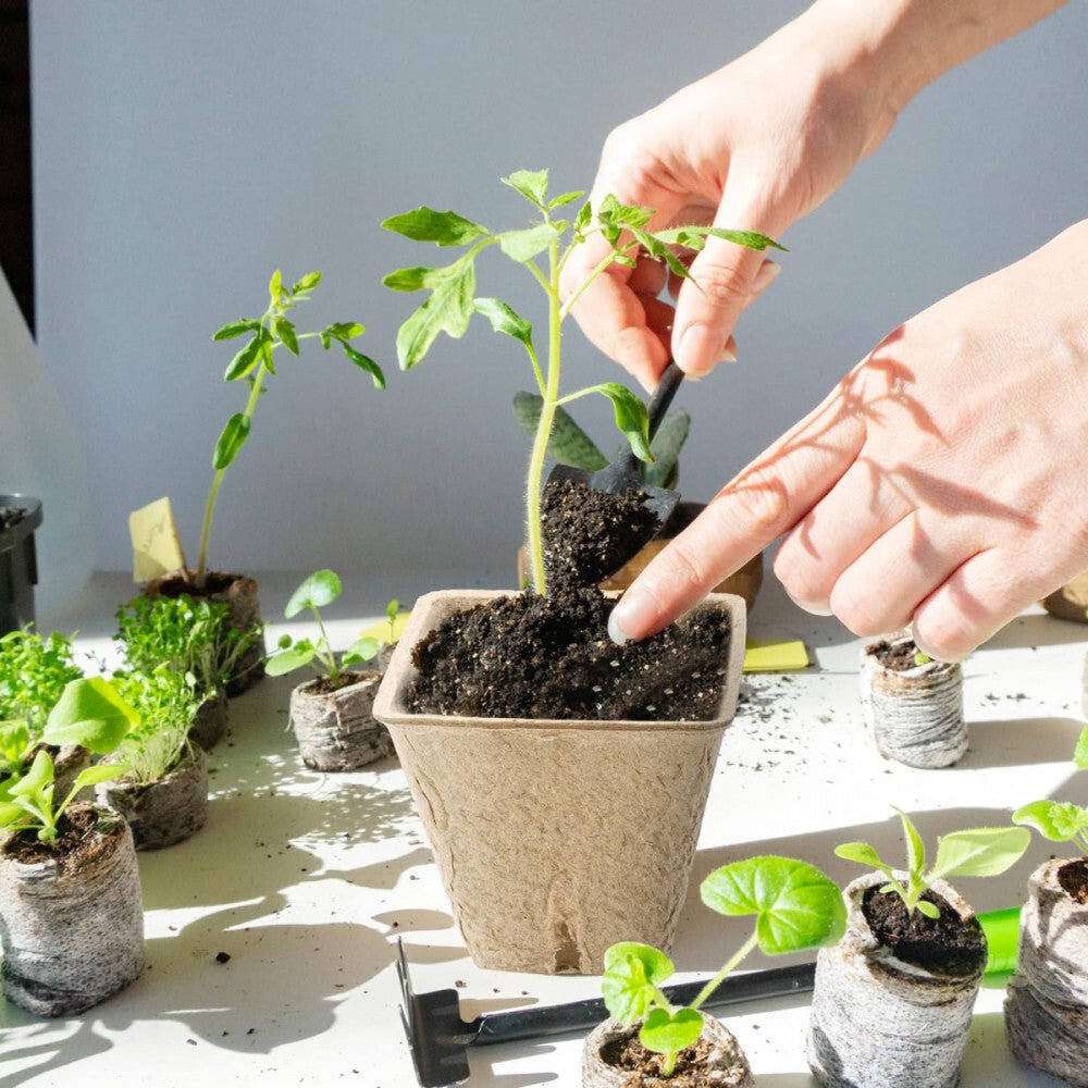 Hahood Szögletes Tőzegcserép Szett, Növényindító Palántaneveléshez 60db 5,8 cm - BShopyX001GU8QQB_2