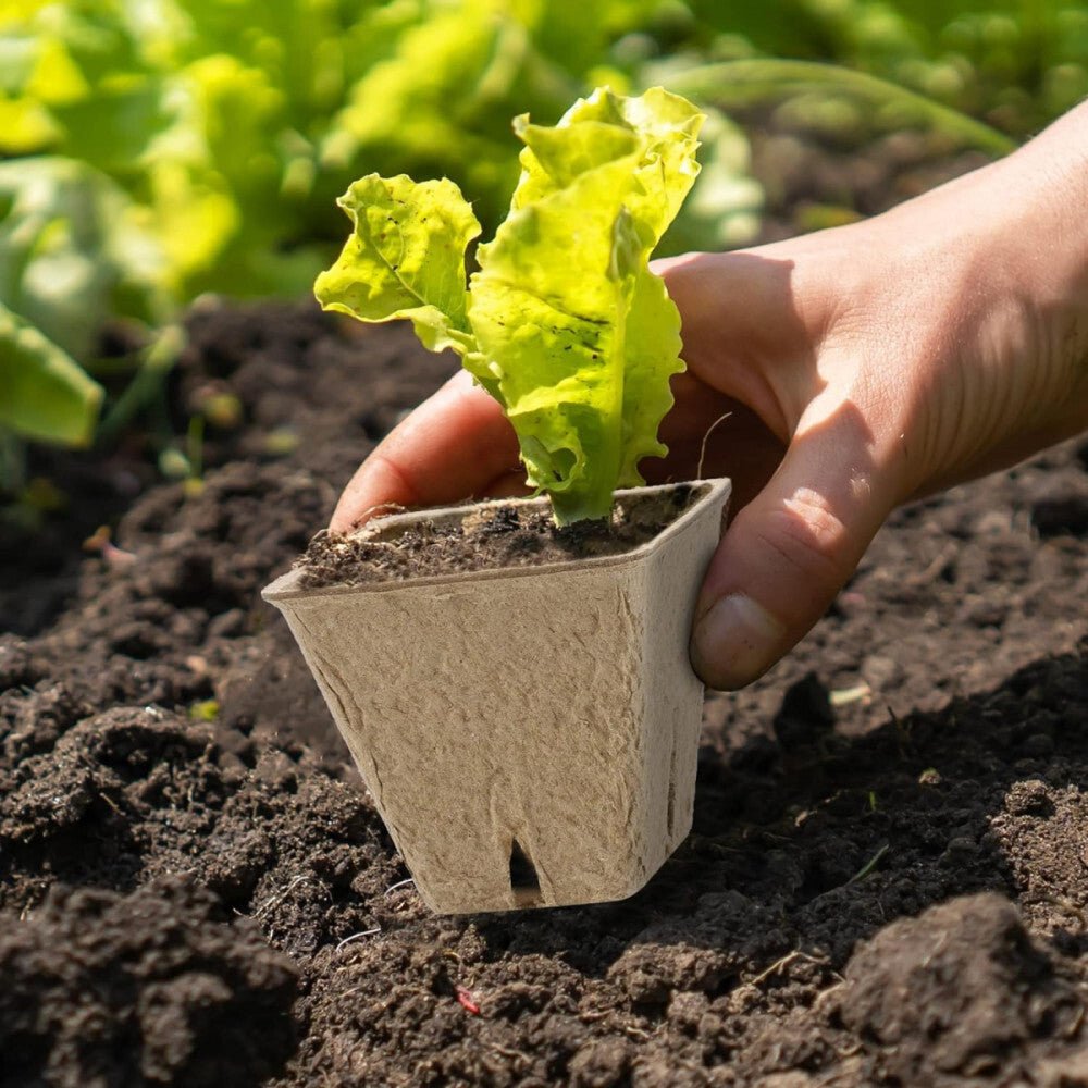 Hahood Szögletes Tőzegcserép Szett, Növényindító Palántaneveléshez 60db 5,8 cm - BShopyX001GU8QQB_0